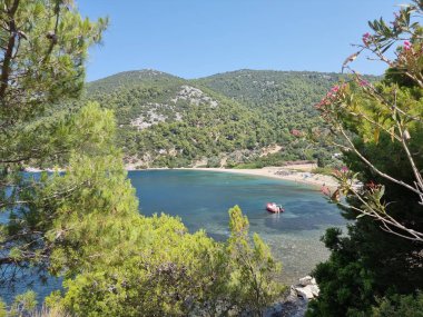 Gökyüzü ya da Skiros Adası, Pefkos plajı çam ağaçları, Yunan adalarında yaz mevsiminin yanında.