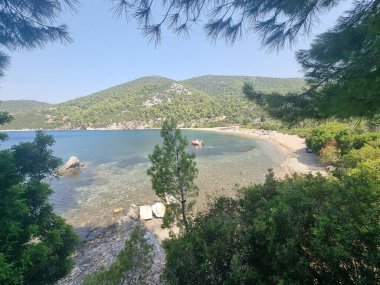 Gökyüzü ya da Skiros Adası, Pefkos plajı çam ağaçları, Yunan adalarında yaz mevsiminin yanında.