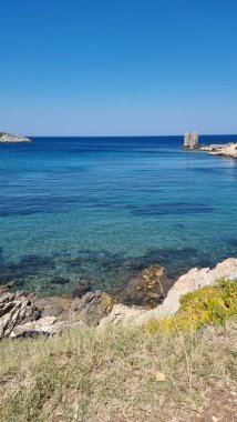 Gökyüzü ya da Skiros atsitsa plaj çam ağaçları mavi deniz Yunan bayramları