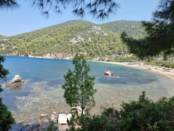 Skyros Skiros Island Pefkos Beach Pine Trees Sea Summer Destination — Stock Photo, Image
