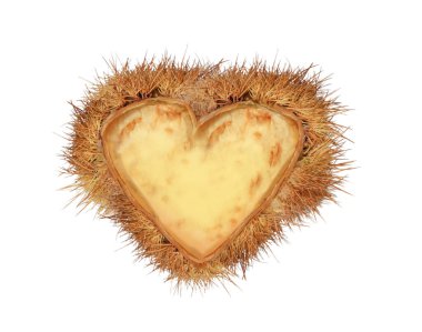 Aşk kalpleri sevgililer günü, kırmızı kestane yuvası arka plan için izole edilmiş.