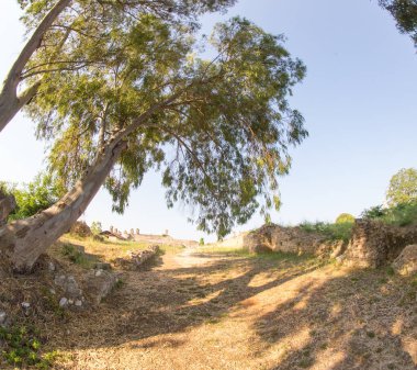 Antik Nikopolis Preveza Yunan kalıntıları Eski Hıristiyan kilise tapınağı