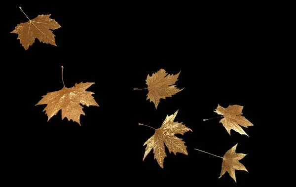 golden gold leaf leaves of platanus  falling rich autumn background isolated - 3d rendering