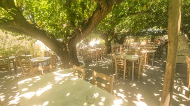 Skyros ya da Skiros, yaz aylarında dut ağacının altındaki ada restoranı