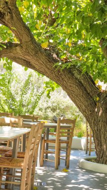 Skyros ya da Skiros, yaz aylarında dut ağacının altındaki ada restoranı