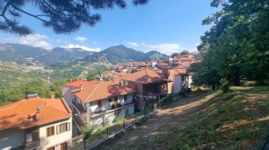 metsovo  city in summer season tourist resort among trees and forest greece balkans clipart