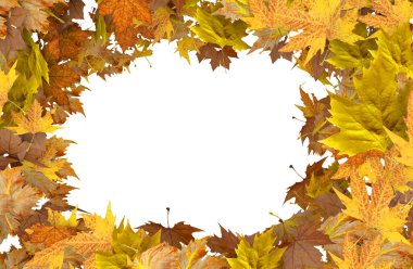 Sonbahar yaprak arkaplanını merkezde delikle birlikte bırakır. Metin iletiniz için saydam boşluk - 3d görüntüleme