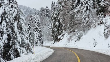 Yunanistan 'da Anilio Kayak Merkezi' nde kar yolu temizleme ormanı