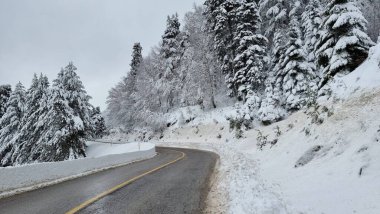 snow road clean firs forest in anilio ski center winter season in greece clipart