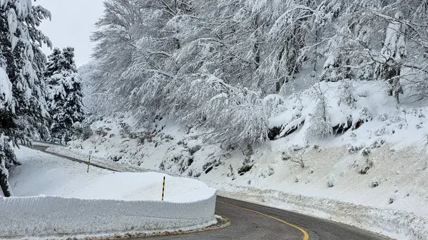 Yunanistan 'da Anilio Kayak Merkezi' nde kar yolu temizleme ormanı