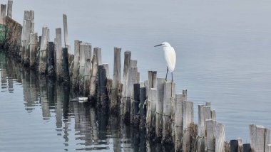 Mesologi Yunan deniz evleri 
