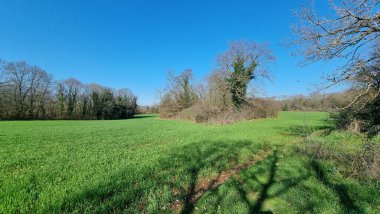 Çayır yeşili kaleler baharda karaya çıkar papağan köyü grevinde