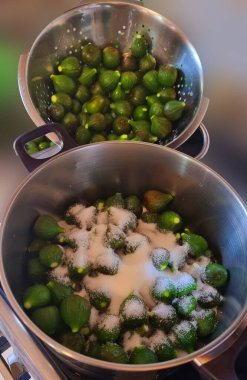 İncir yabani. Mutfakta şerbet tatlandırıyor.