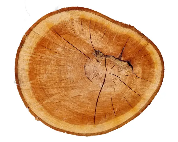 arkaplan için üst görünüm tahta kesim halkaları transparetn