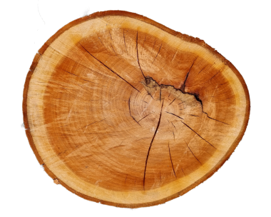 arkaplan için üst görünüm tahta kesim halkaları transparetn