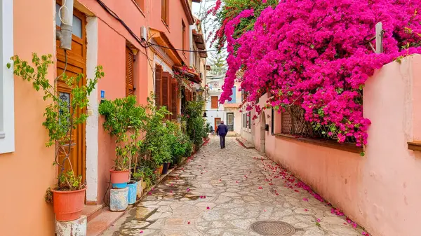 Yaz mevsiminde Yunan karayolları binalarında preveza şehri begonvilleri