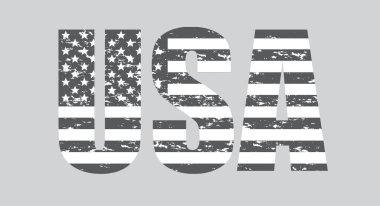 Vektör USA Bayrağı. American Flag Symbol.Web sitesi veya Mobil Uygulama Simgesi