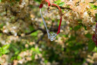 Blossoming cherry tree decorated tied Martenitsi.Symbol of approaching spring. Baba Marta day Bulgaria. Wearing a martenitsa is a wish for good health.Tradition of welcoming spring in Bulgaria. High quality photo