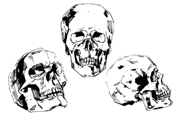 手描きインクスタイルで人間の頭蓋骨のベクトルイラスト ベクターイラスト — ストックベクタ