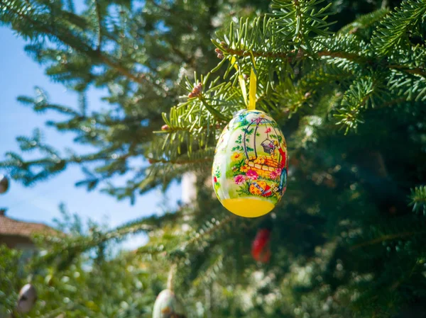 Easter Eggs Trees Traditional Bulgarian National Decoration Easter High Quality — Stock Fotó