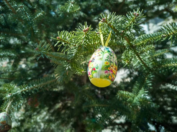 Easter Eggs Trees Traditional Bulgarian National Decoration Easter High Quality — Stockfoto