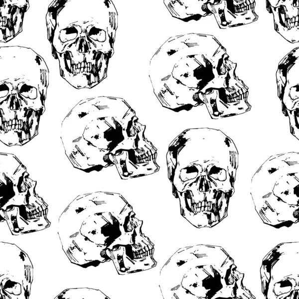 Illustrazione Vettoriale Del Cranio Umano Dipinta Mano Stile Inchiostro Schema — Vettoriale Stock