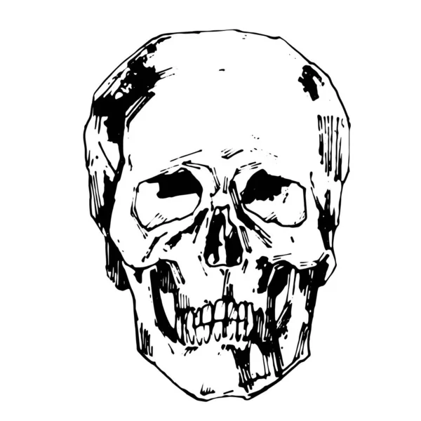 手描きインクスタイルで人間の頭蓋骨のベクトルイラスト ベクターイラスト — ストックベクタ