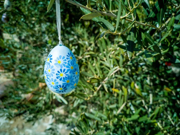 Uova Pasqua Sugli Alberi Decorazione Nazionale Tradizionale Bulgara Pasqua Bulgaria — Foto Stock