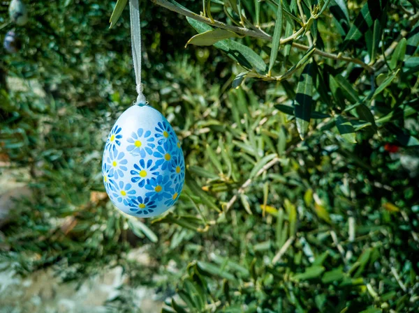 Uova Pasqua Sugli Alberi Decorazione Nazionale Tradizionale Bulgara Pasqua Bulgaria — Foto Stock