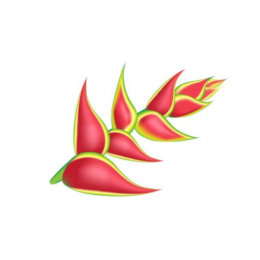 Palmiye yaprağı, amber çiçeği ve pembe su çiçekleri soyut arka planda. Son moda, egzotik çiçek deseni. Tropik egzotik çiçek seti.