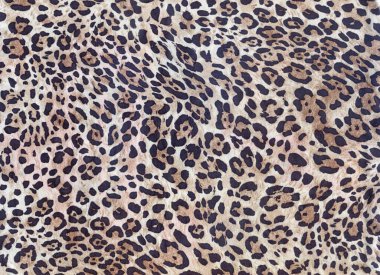 Lüks leopar geçmişi. Çita izi. Kar leoparı kürkü. Vahşi kaplan deseni. Pantera hayvan izi..