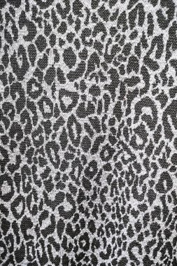 Lüks leopar geçmişi. Hayvan izi. Kar leoparı derisi Çita kürkü. Jaguar noktaları.