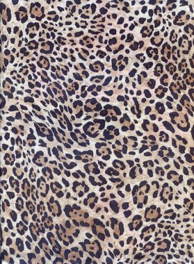 Lüks leopar geçmişi. Çita izi. Kar leoparı kürkü. Vahşi kaplan deseni. Pantera hayvan izi..