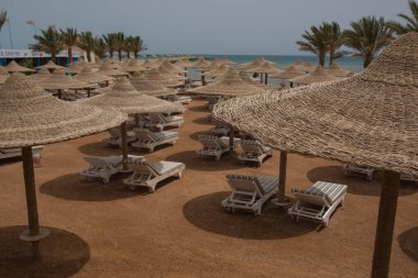 Şafak vakti Kızıl Deniz kıyısında sakin bir Mısır plajı. Kırsal sazdan yapılmış şemsiyelerin altında sıra sıra boş şezlonglar var. Altın kum ufka doğru uzanıyor, sakin denizin gökyüzü ile buluştuğu yere.. 