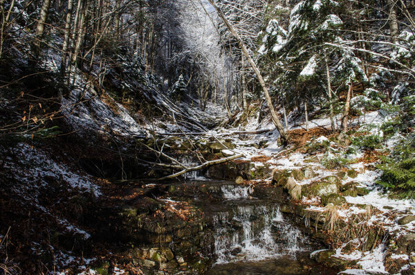 This winter scene captures the quiet beauty of the Carpathian mountains, Ukraine. Snow-laden coniferous forests stretch across the slopes, while a river flows partially under ice in the foreground