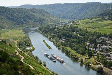 Kuşlar, Almanya 'da yeşillik ve üzüm bağlarıyla çevrili Mosel Nehri yakınlarındaki bir köye bakıyor..