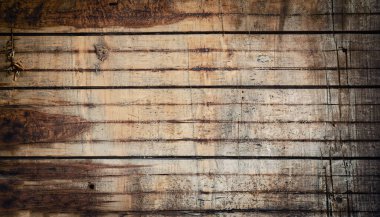 Ağaç. Arka plan eski paneller. Yüksek çözünürlük, doku