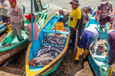 Santa Rosa, Ekvador - 24 Mart 2023 Santa Rosa balık pazarı. Sanatçı balıkçılar okyanusta balık tuttukları bir geceden sonra evlerine dönerler ve ürünlerini rıhtımda satarlar. Ekvador, Santa Elen vilayeti