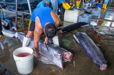 Santa Rosa, Ekvador - 24 Mart 2023 Santa Rosa balık pazarı. Adamın biri pazarda yeni yakalanmış büyük bir ton balığını kesiyor. Ekvador, Santa Elena vilayeti
