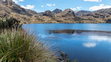 El Cajas Ulusal Parkı 'ndaki Toreadora Gölü. Dağ manzarası. Ekvador, Cuenca şehrine yakın. 