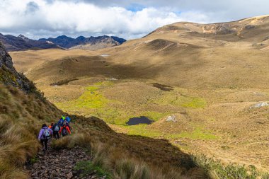 Cajas, Ekvador-25 Mayıs 2023: El Cajas Ulusal Parkı, Ekvador And Dağları 'nda. Amarillo Dağı 'nın yamaçlarındaki Paramo ekosistemi.