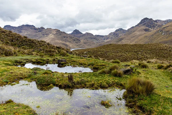 Dağları Ndaki Cajas Ulusal Parkı Nda Paramo Ekosistemi Deniz Seviyesinden — Stok fotoğraf