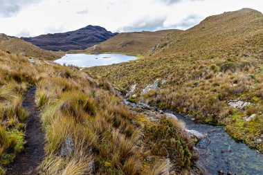 And Dağları 'ndaki El Cajas Ulusal Parkı' nda. Negra Gölü deniz seviyesinden 4050 metre yükseklikte. Paramo ekosistem. Azuay ili, Cuenca şehri yakınlarında.