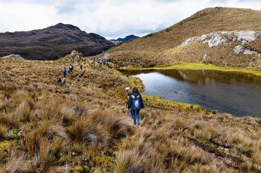 Cajas, Ekvador - 25 Mayıs 2023: Ekvador And Dağları 'ndaki El Cajas Ulusal Parkı. 400 metre yükseklikteki Negra Gölü' ne yürüyüş yapan turistler. Azuay ili, Cuenca şehri yakınlarında.