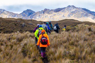 Cajas, Ekvador, 21 Mayıs 2023 Ekvador And Dağları 'ndaki El Cajas Ulusal Parkı. Bir grup turist deniz seviyesinden 4000 metre yükseklikte dağlık bölgede bir patikada.