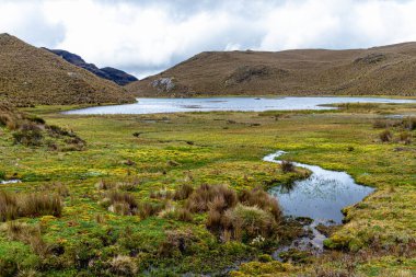 And Dağları 'ndaki El Cajas Ulusal Parkı' nda. Negra Gölü deniz seviyesinden 4050 metre yükseklikte. Paramo ekosistem. Azuay ili, Cuenca şehri yakınlarında.