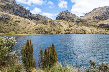El Cajas National park, Toreadora lake. Mountain landscape. Ecuador, close to city Cuenca