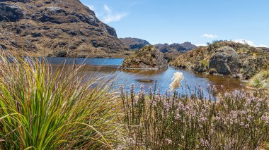 El Cajas Ulusal Parkı 'ndaki Toreadora Gölü. Dağ manzarası. Ekvador, Cuenca şehrine yakın. 