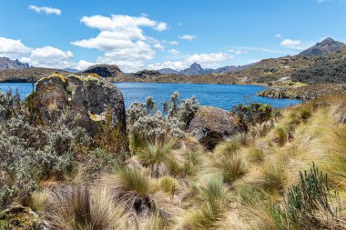 El Cajas Ulusal Parkı 'ndaki Toreadora Gölü. Dağ manzarası. Ekvador, Cuenca şehrine yakın. 