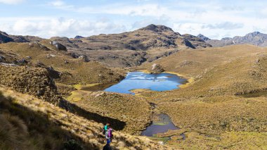 Cajas, Ekvador - 11 Ağustos 2024: Ekvador And Dağları 'ndaki El Cajas Ulusal Parkı. Dağ manzarası. Negra Gölü (laguna Negra) yolu üzerindeki yürüyüşçüler deniz seviyesinden 4100 metre yükseklikte. Azuay Eyaleti